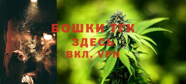ешки Кукмор
