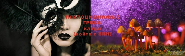 ешки Кукмор