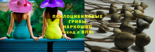 spice Куйбышев