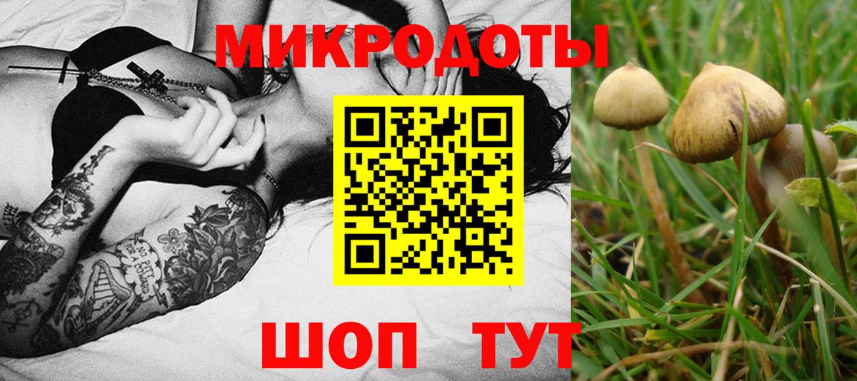 Шатура  Псилоцибиновые грибы Magic Shrooms  Вход с VPN  Галлюциногенные грибы мухоморы 