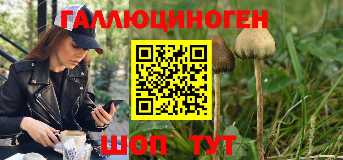 Псилоцибиновые грибы Magic Shrooms Шатура
